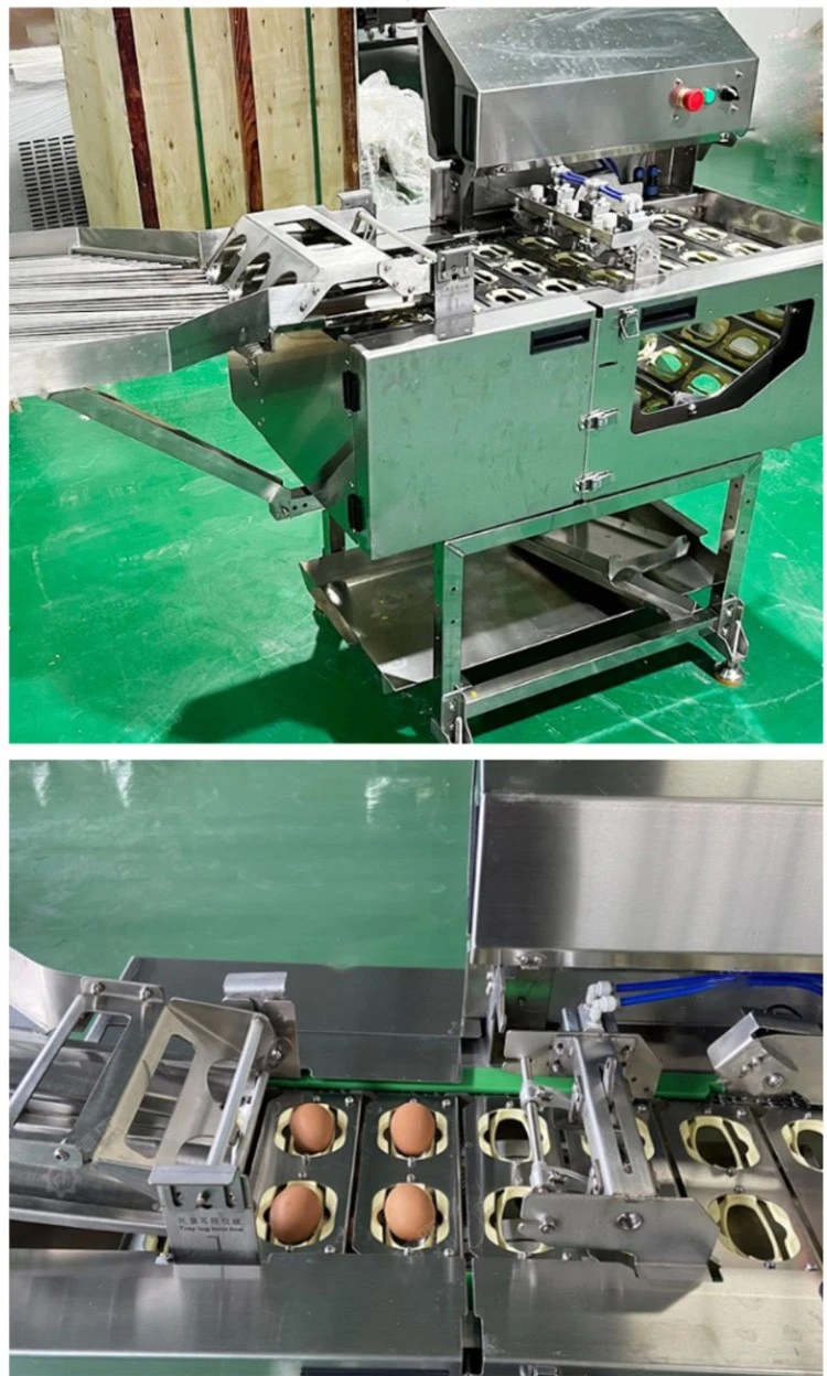 egg cracking machine 2 egg cracking machine 2