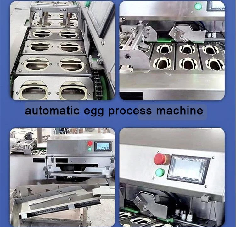 egg cracking machine 3 egg cracking machine 3